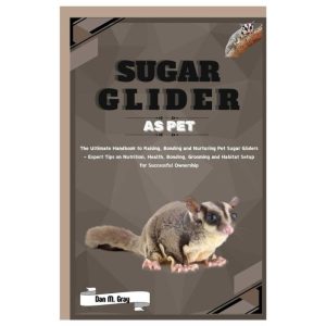 Sugar Glider As Pet